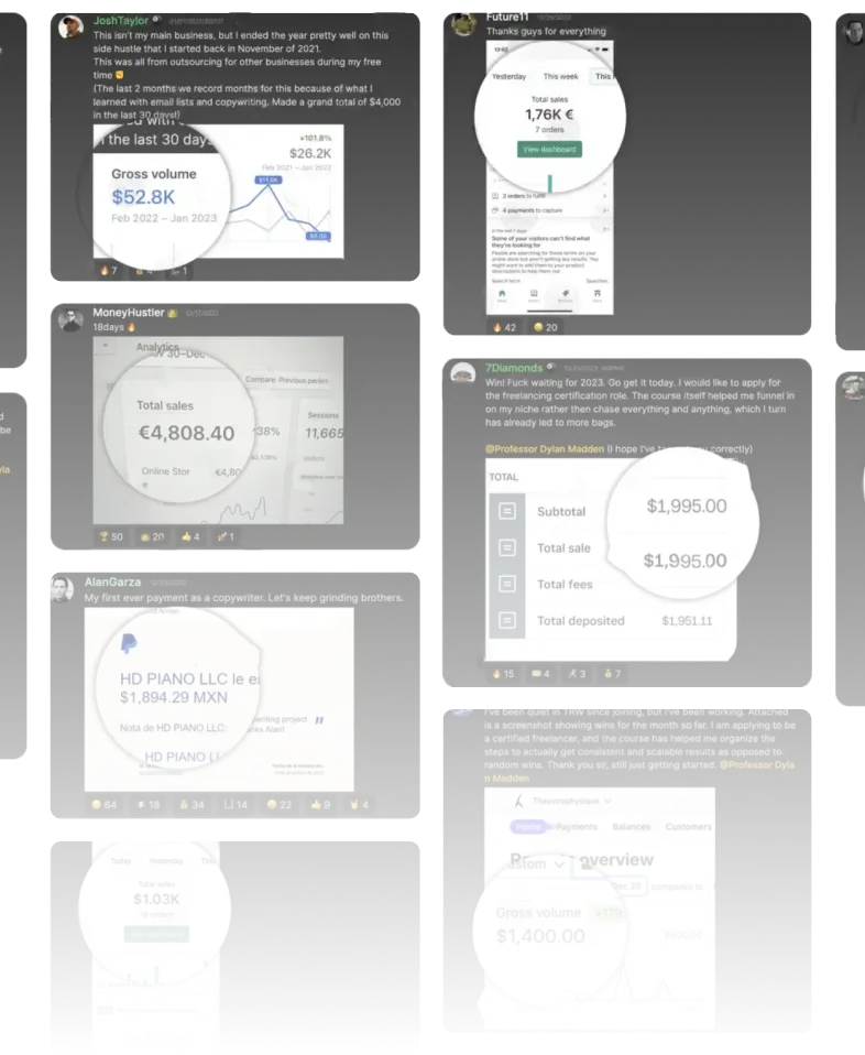 success screenshoted payments